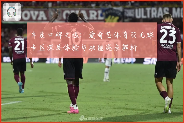 年度口碑之选:爱奇艺体育羽毛球专区深度体验与功能亮点解析