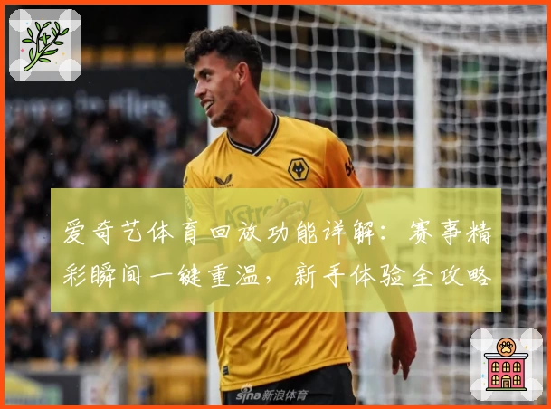 爱奇艺体育回放功能详解：赛事精彩瞬间一键重温，新手体验全攻略